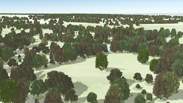 Trees as 3D points